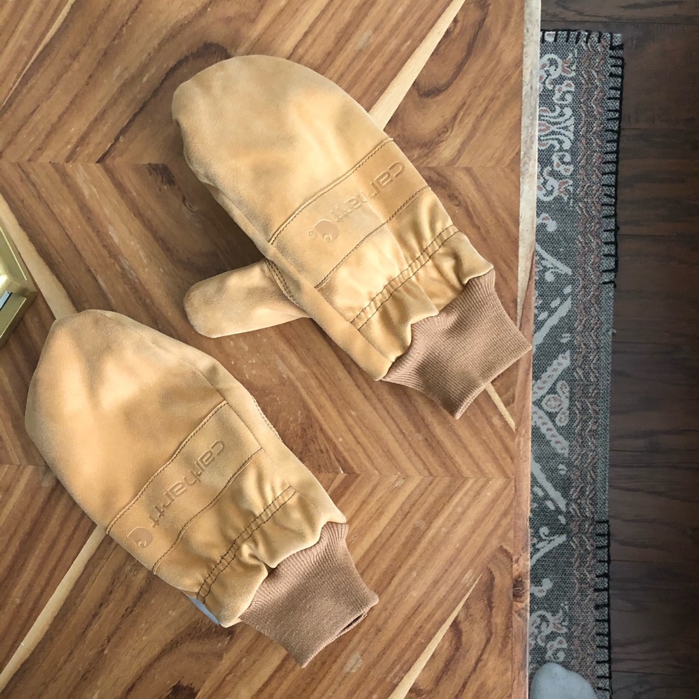 Carrhart mittens used for skiing